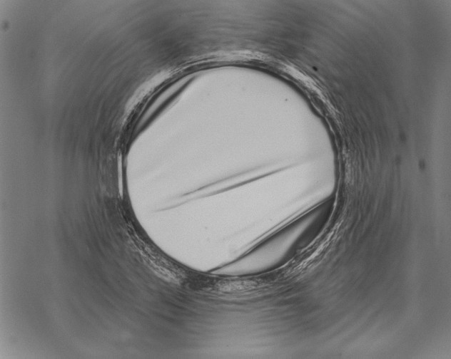 X0000068271171200605191820