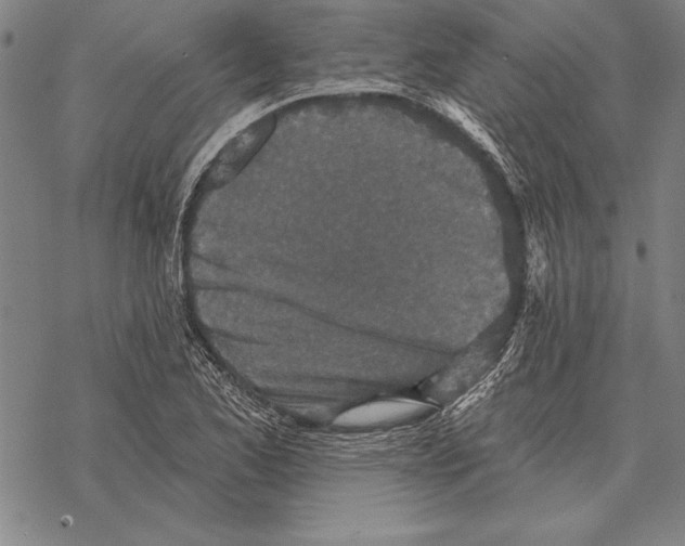 X0000068271173200605191820