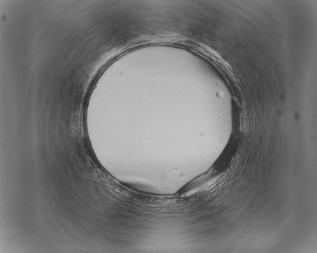 X0000068271174200605191820