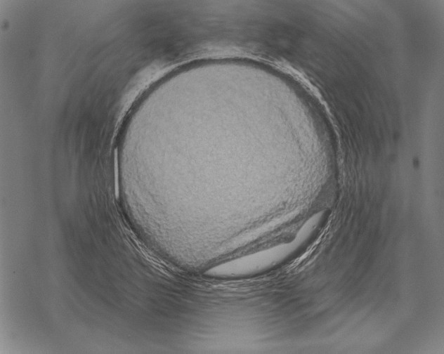 X0000068271175200605191820