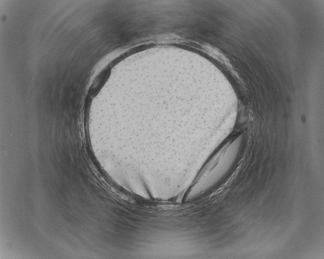 X0000068271176200605191820