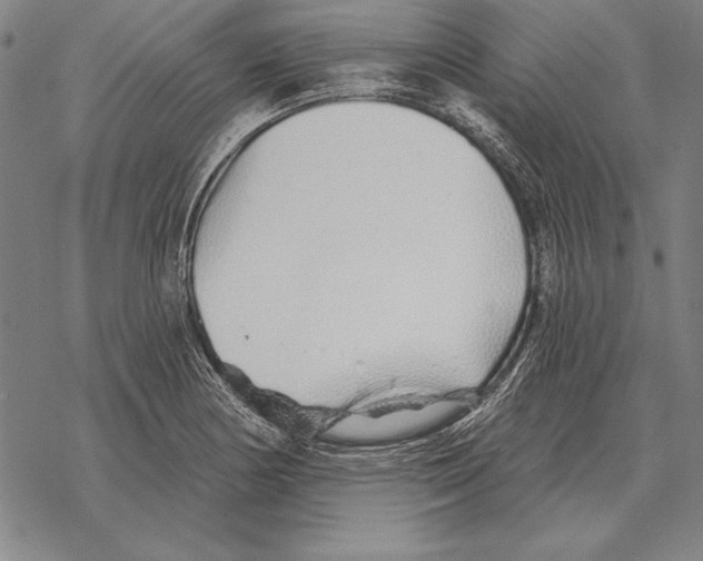 X0000068271178200605191820