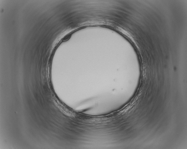 X0000068271179200605191820