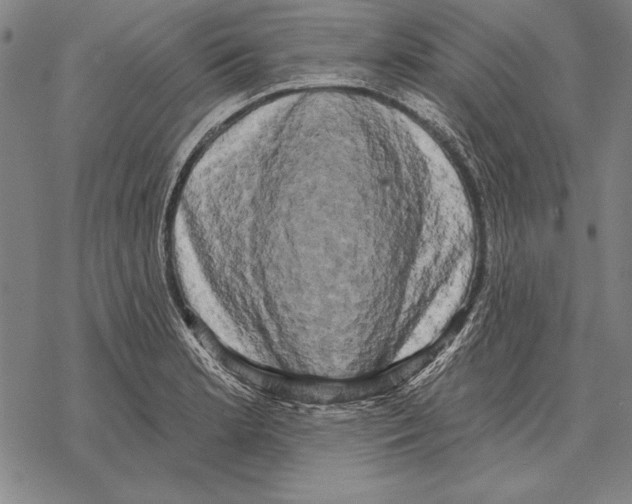 X0000068271181200605191820