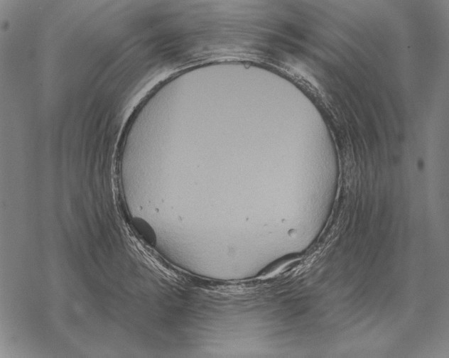 X0000068271182200605191820