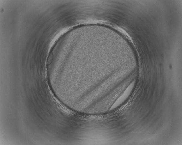 X0000068271183200605191820