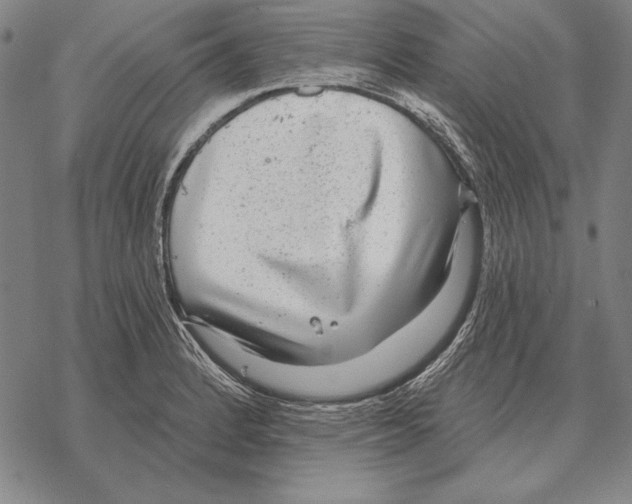 X0000068271184200605191820