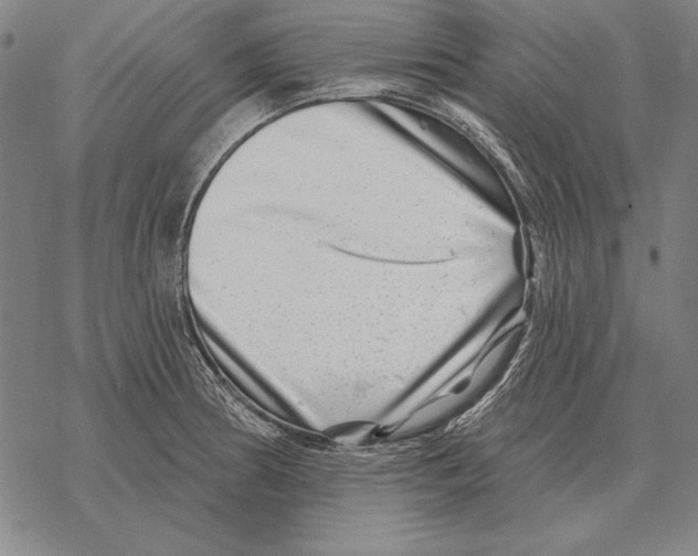 X0000068271186200605191820