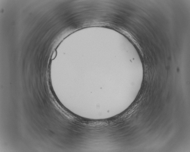 X0000068271187200605191820