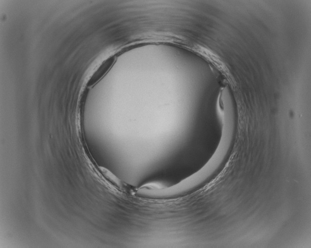 X0000068271188200605191820