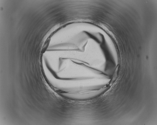 X0000068271189200605191820