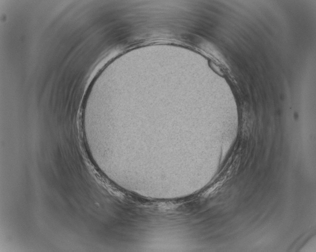 X0000068271190200605191820