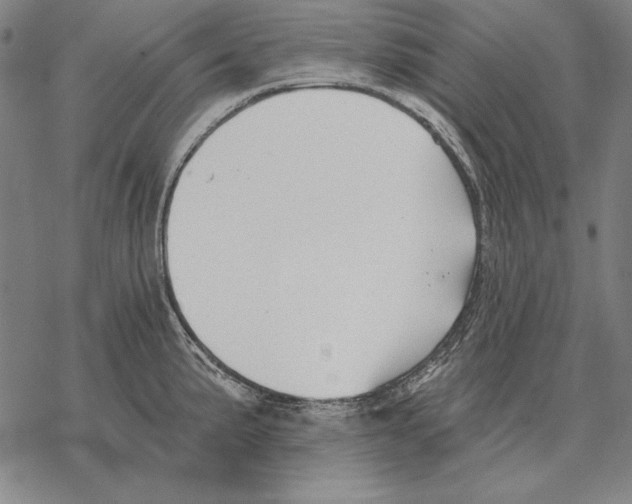 X0000068271191200605191820