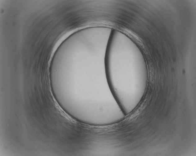 X0000068271192200605191820