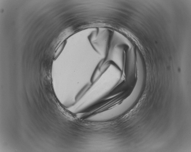 X0000068271193200605191820