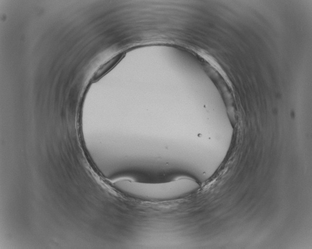 X0000068271197200605191820