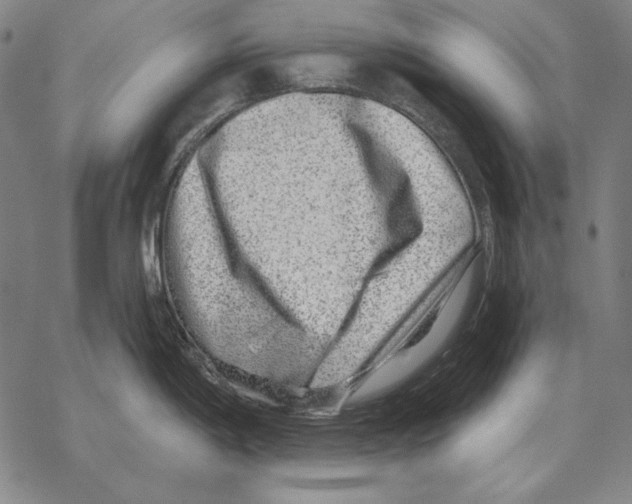 X0000068271198200605191820