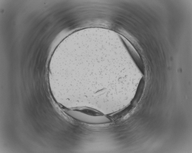 X0000068271200200605191820