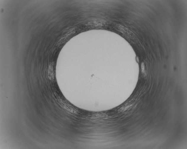 X0000068271203200605191819