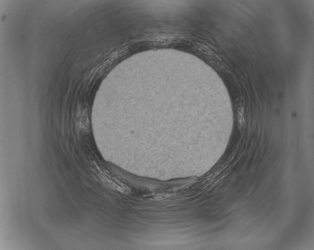 X0000068271204200605191819