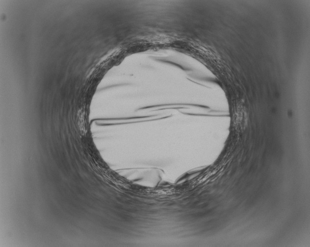 X0000068271205200605191819