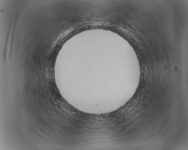 X0000068271207200605191819