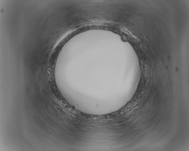 X0000068271208200605191819