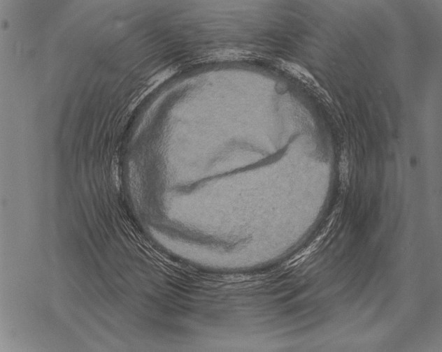 X0000068271209200605191819