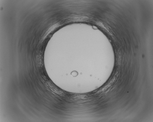 X0000068271211200605191819