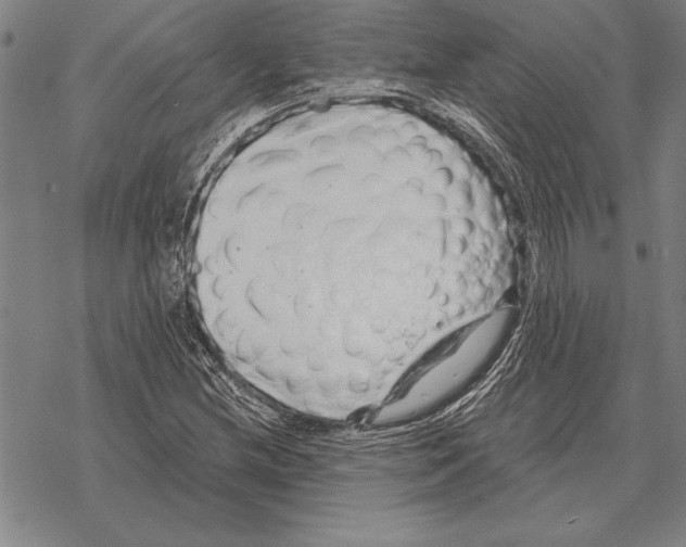 X0000068271212200605191819