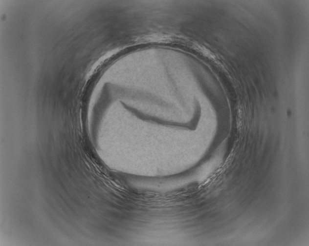 X0000068271214200605191819