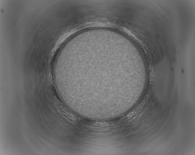 X0000068271215200605191819