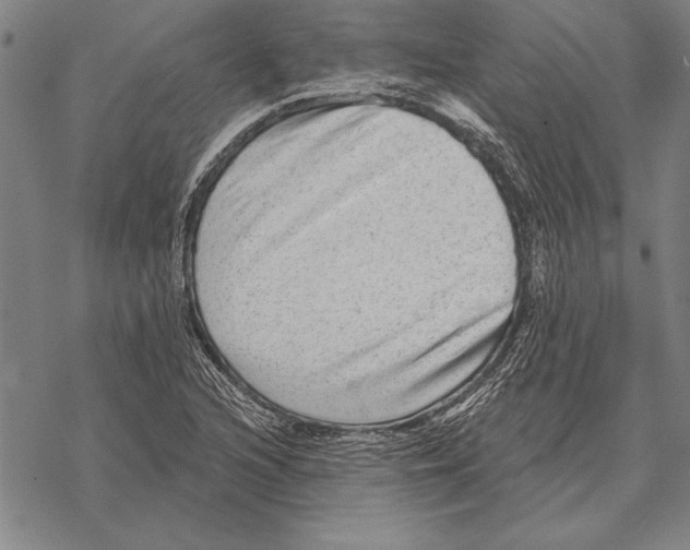 X0000068271216200605191819