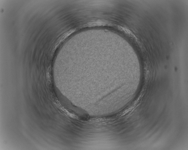 X0000068271217200605191819