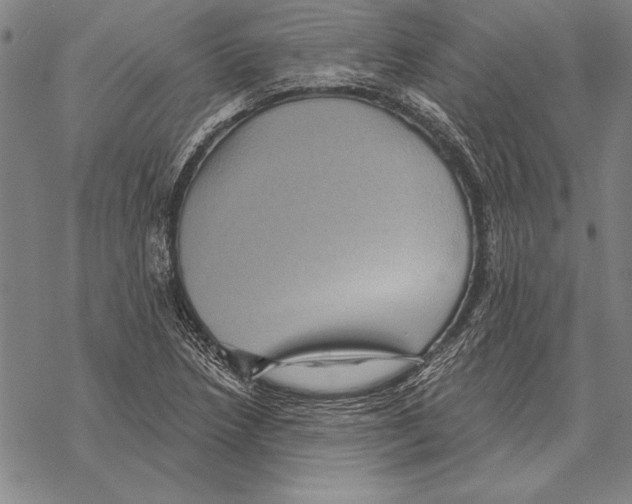 X0000068271218200605191819