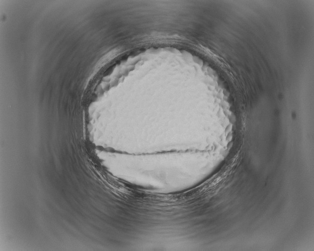 X0000068271219200605191819