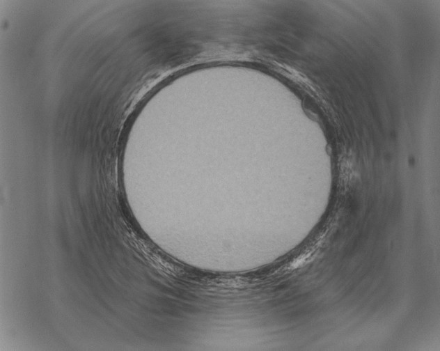 X0000068271220200605191819