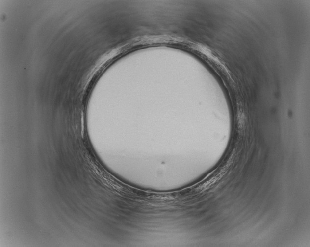 X0000068271221200605191819