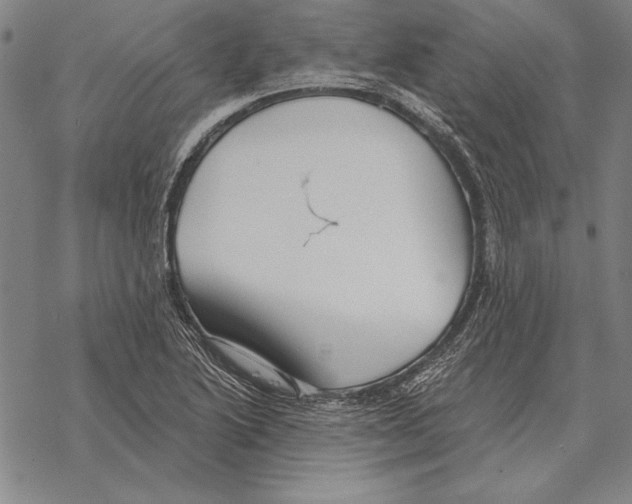 X0000068271222200605191819