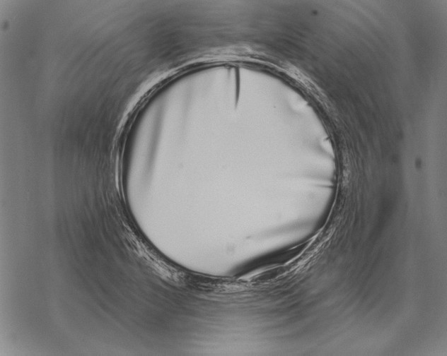 X0000068271224200605191820