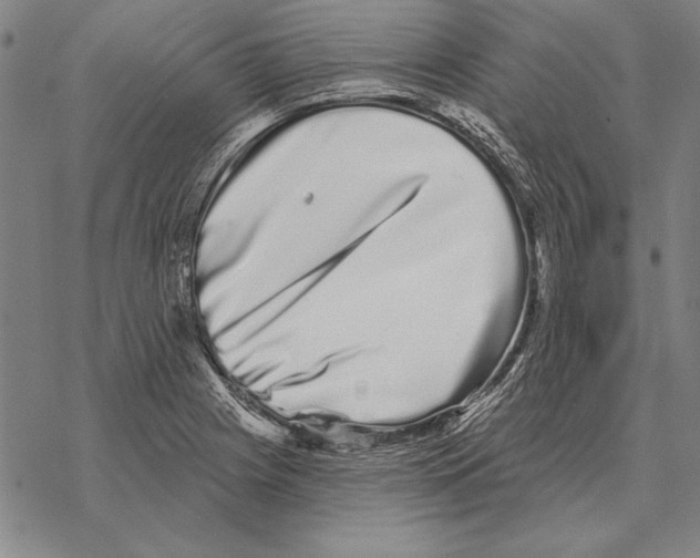 X0000068271225200605191820