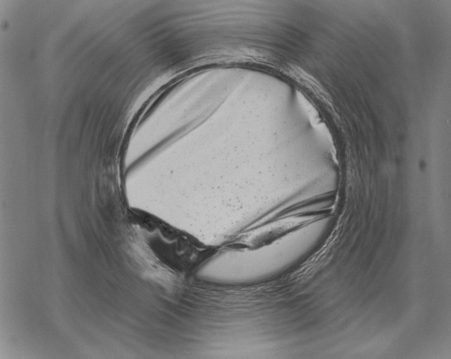 X0000068271226200605191820