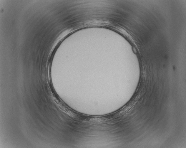 X0000068271227200605191820