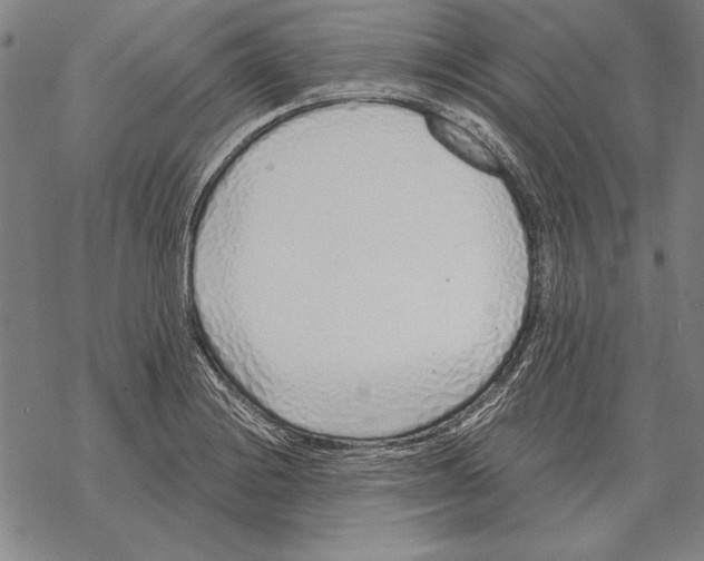 X0000068271228200605191820