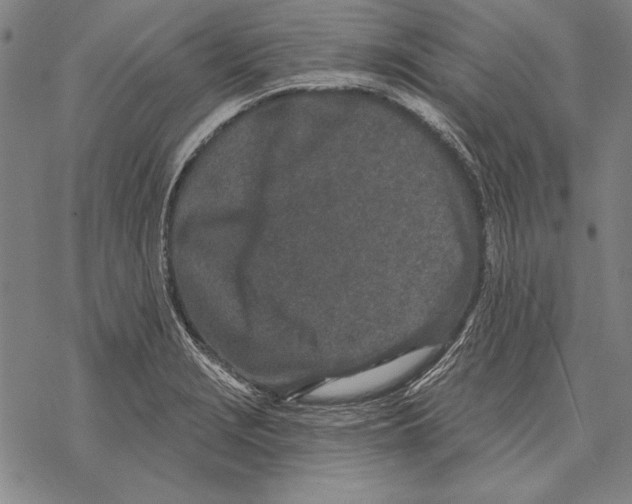 X0000068271229200605191820