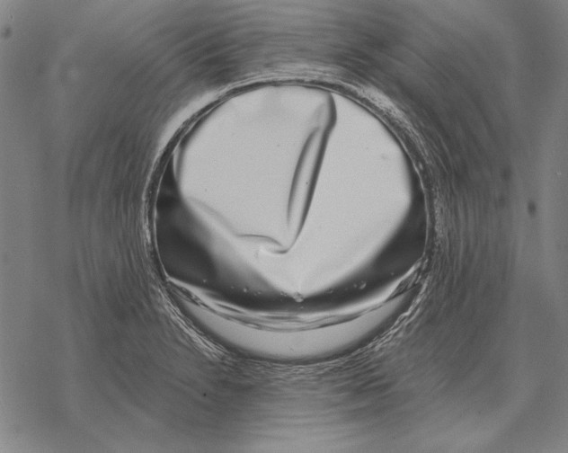 X0000068271230200605191820