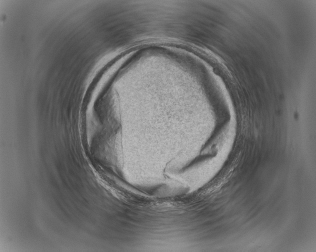 X0000068271231200605191820