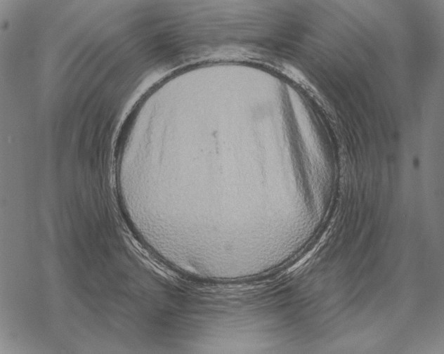 X0000068271232200605191820