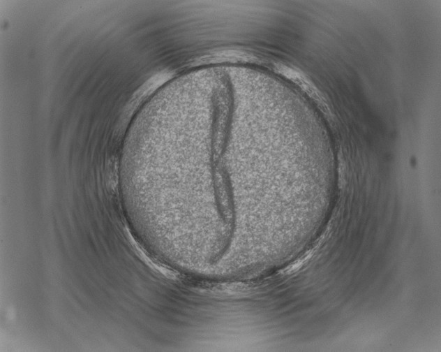 X0000068271233200605191820