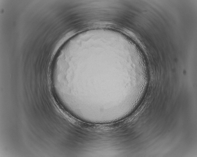 X0000068271235200605191820